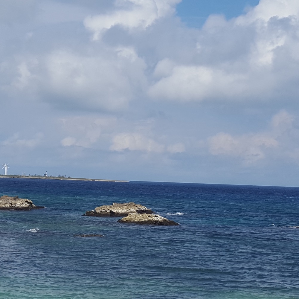 Meet your Posher, Tamara